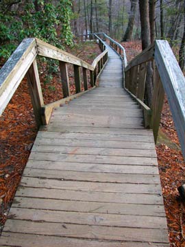 Tater Knob Fire Tower stairs