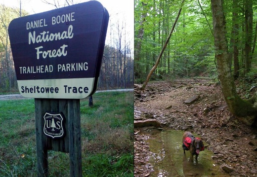 Northern Terminus of the Sheltowee Trace