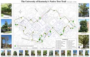 The University of Kentuckyâ€™s Native Tree Trail