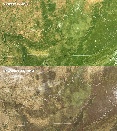 MODIS images of changing seasons in Kentucky, 2013