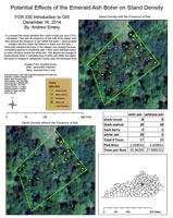 Potential Effects of the Emerald Ash Borer on Stand Density, by Andrew Emery