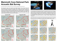 Mammoth Cave NP Acoustic Bat Survey, by Shelby Fulton