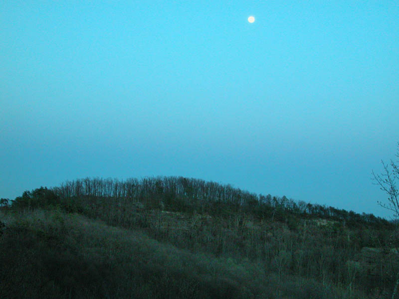 DSCN5526