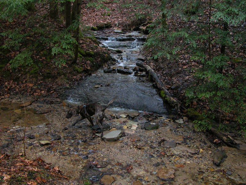 DSCN5275