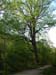 DSCN5864