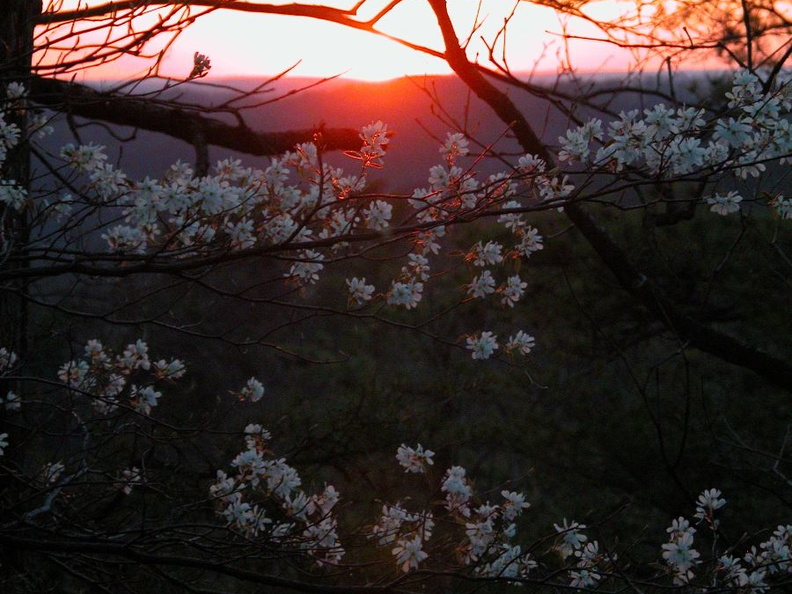 DSCN5514.JPG