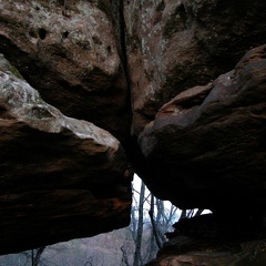 DSCN5523.JPG