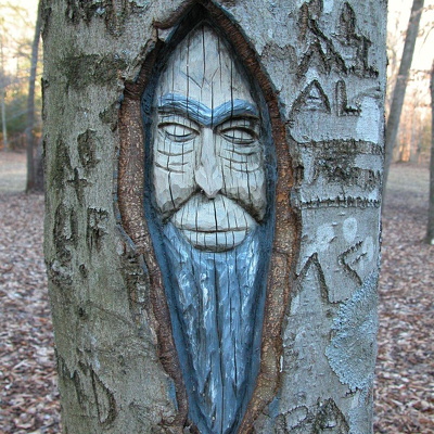 04 February 29: Martin's Branch, Rodburn Hollow, & Sheltowee Trace Trails in Rowan County 