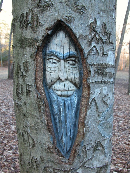 DSCN4977.JPG