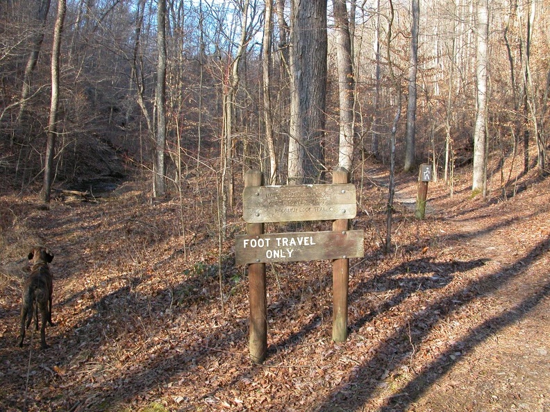 DSCN4983.JPG