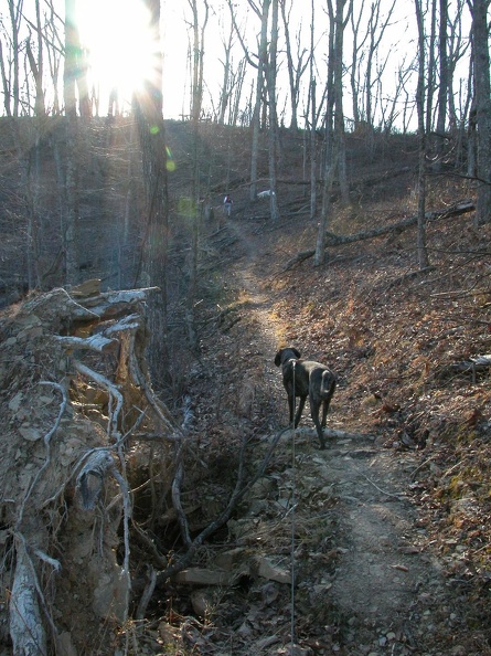 DSCN4985.JPG