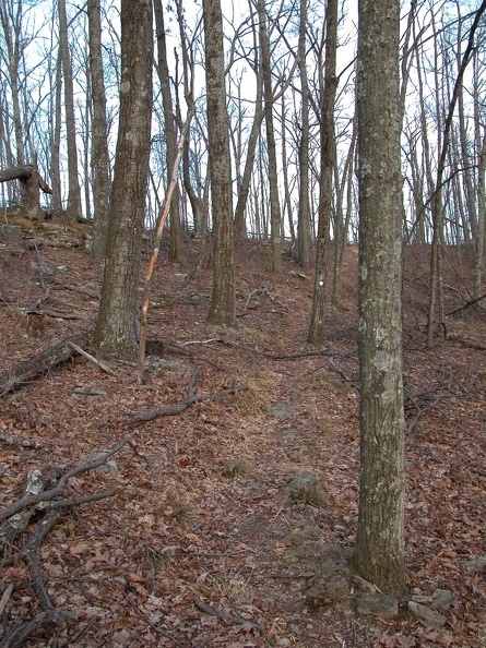 DSCN4992.JPG