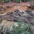 DSCN5157.JPG