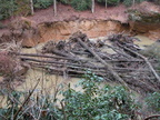 DSCN5157.JPG