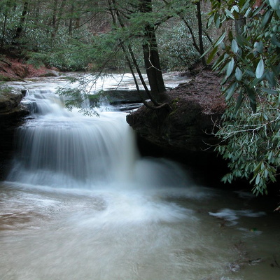 04 March 6: Swift Camp Creek, Wolfe County, Ky