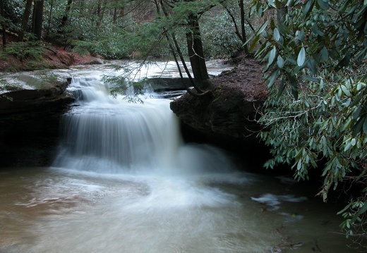 04 March 6: Swift Camp Creek, Wolfe County, Ky