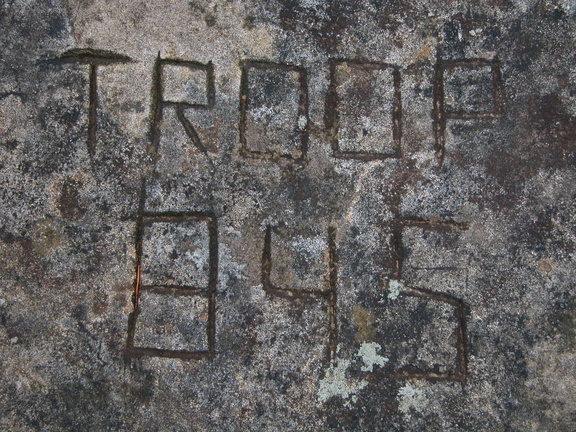DSCN5186.JPG