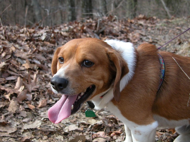 DSCN5237.JPG