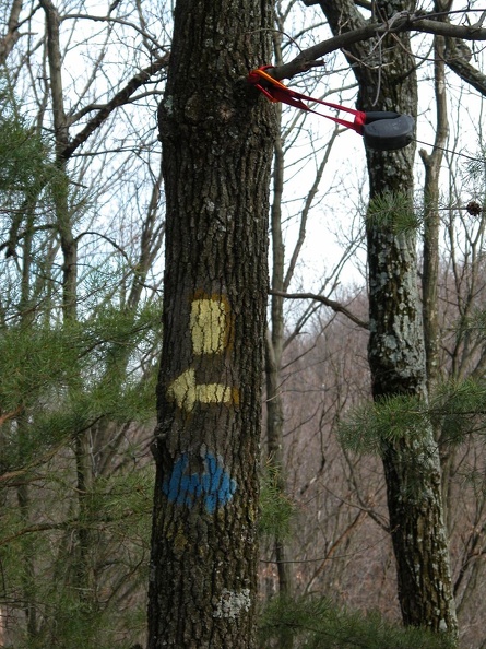 DSCN5239.JPG