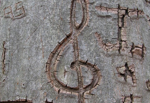 04 March 13: Jefferson County Memorial Forest. Jefferson County, Kentucky