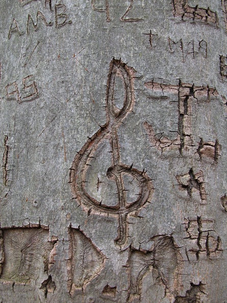DSCN5255.JPG
