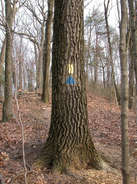 DSCN5260.JPG