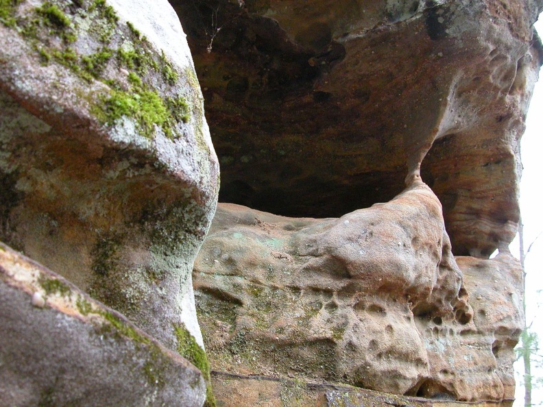 DSCN5358.JPG