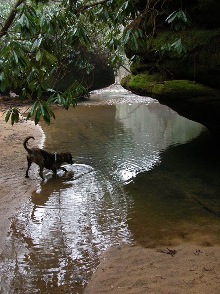 DSCN5361.JPG
