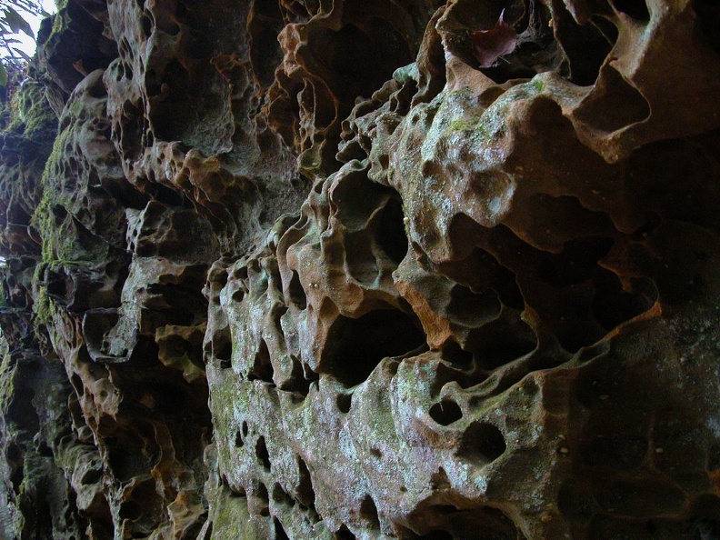 DSCN5374.JPG