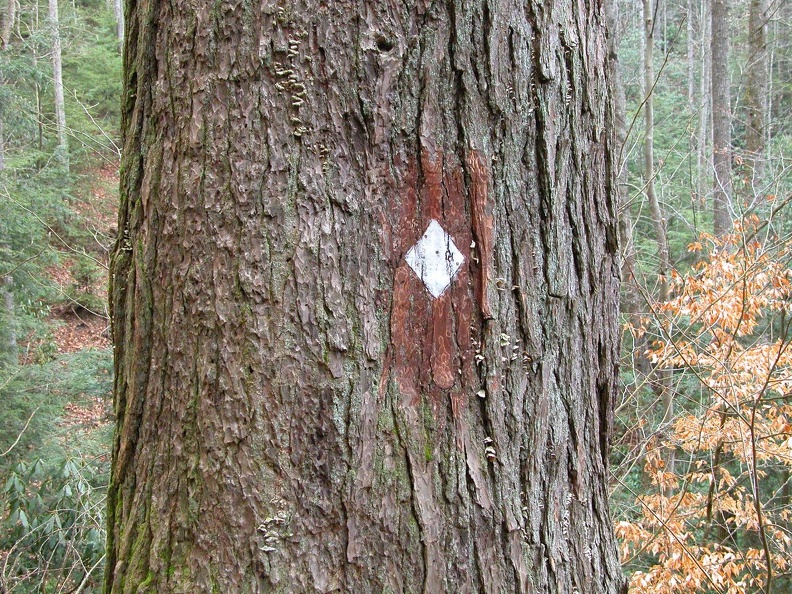 DSCN5401.JPG