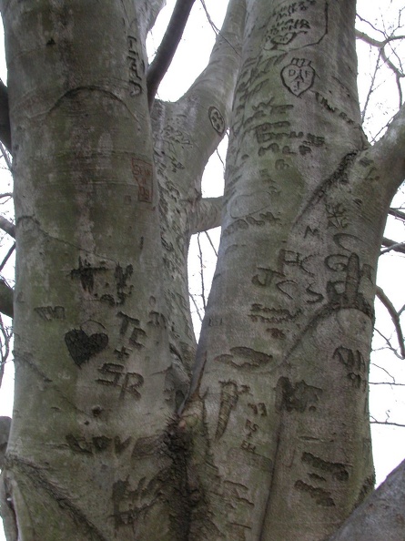 DSCN5404.JPG