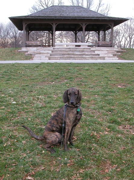 DSCN5413.JPG