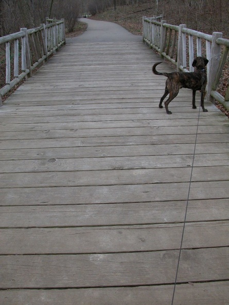 DSCN5418.JPG