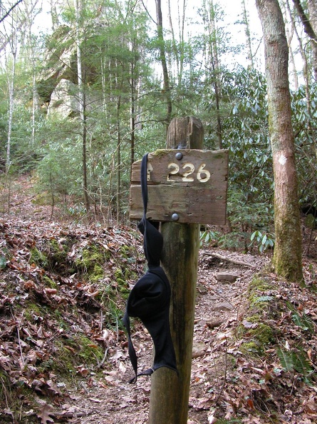 DSCN5477.JPG