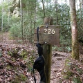 DSCN5477.JPG