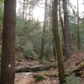 DSCN5478.JPG