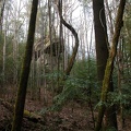 DSCN5482.JPG