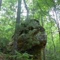 DSCN3388