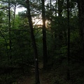 DSCN3418