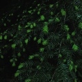 DSCN3454