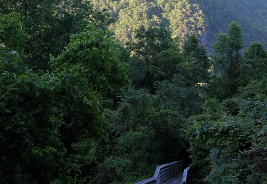 05 May 21: New River Gorge, Bridge, Kaymor