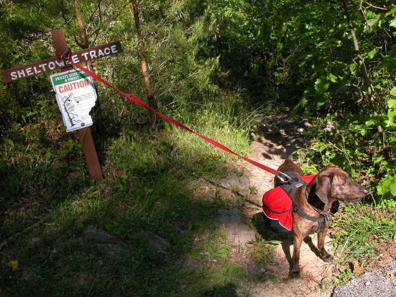 Southern Terminus at TN 154 in Pickett State Park