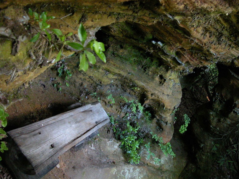 Hidden Passage Trail above Thompson Creek