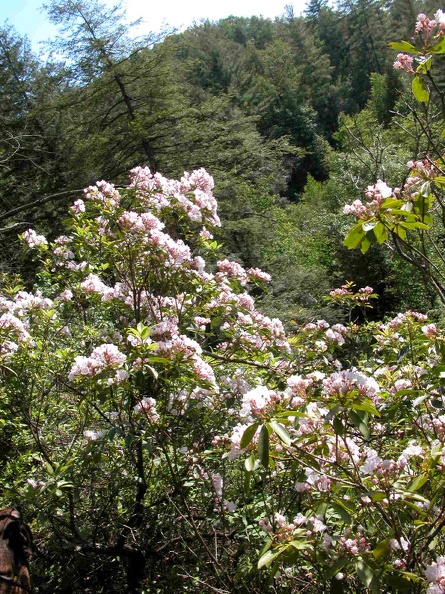Hidden Passage Trail above Thompson Creek