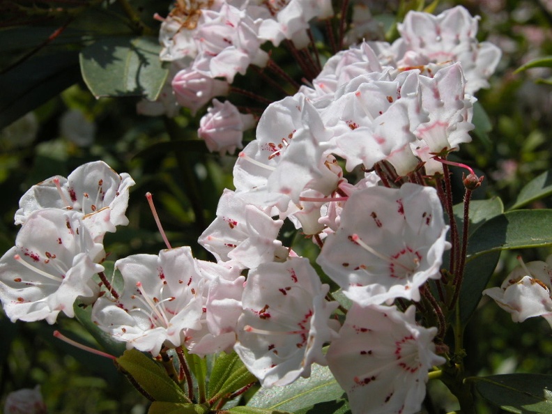 Hidden Passage Trail above Thompson Creek