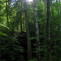 Hidden Passage Trail above Thompson Creek
