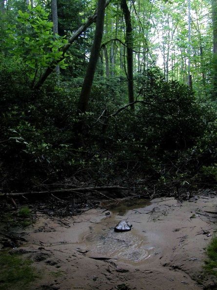 Hidden Passage Trail above Thompson Creek
