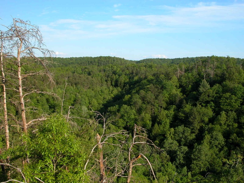 Thompson Overlook on Hidden Passage Trail above Thompson Creek