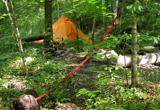 Camp 1: uppper Rock Creek
