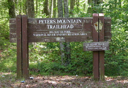 Peter's Mountain 1601 feet in elevation is amoung the highest in the Big South Fork, which the runs below at 790ft. Hemlock Grov